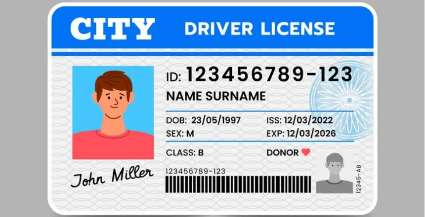 fake driver’s licenses